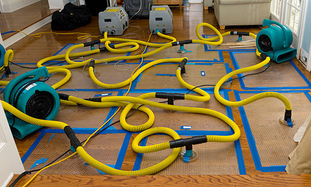 Professional Burst Pipe Water Damage technician working in Sedalia, NC